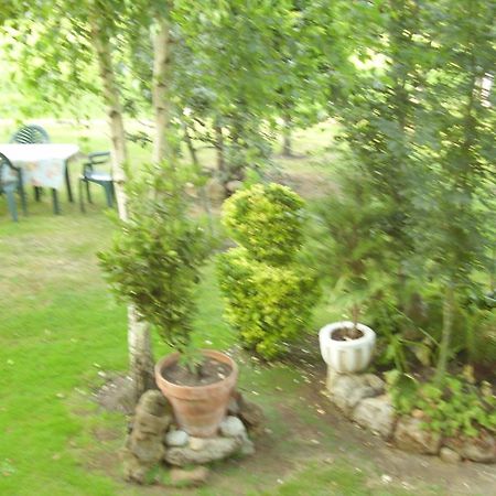 El Magnolio Apartment Santillana del Mar Ngoại thất bức ảnh