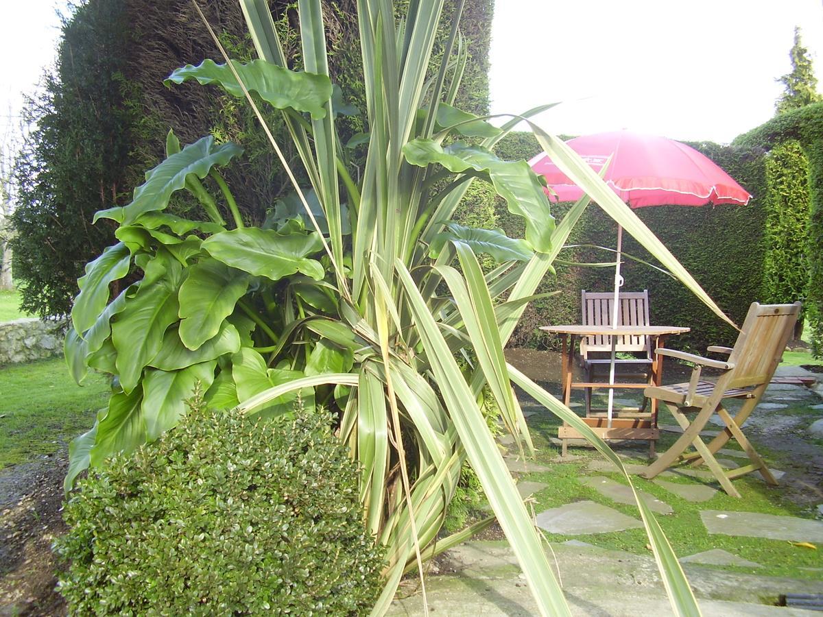 El Magnolio Apartment Santillana del Mar Ngoại thất bức ảnh